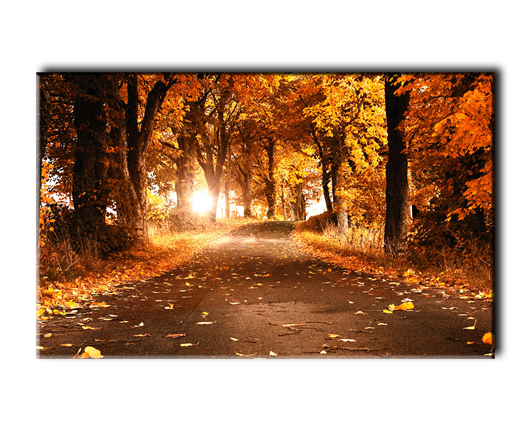 Фотокартина Осень в Парке
