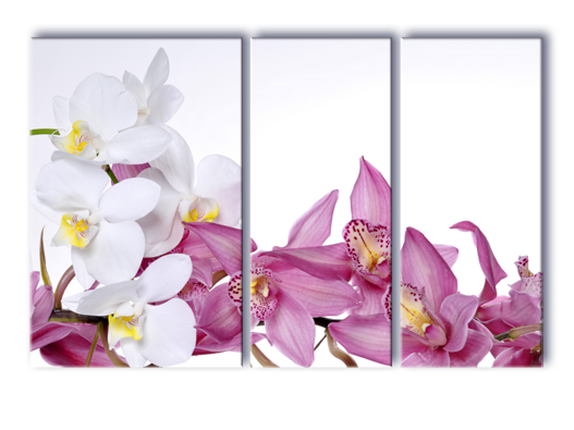 Модульная картина Нежные орхидеи