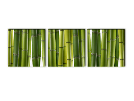 Модульная картина Бамбук