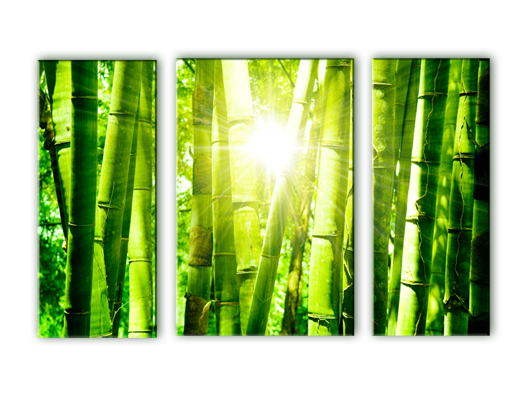 Модульная картина Солнечный бамбук
