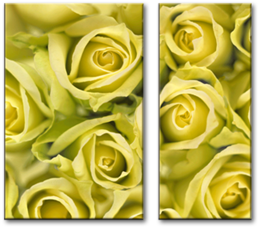 Модульная картина Миллион желтых роз