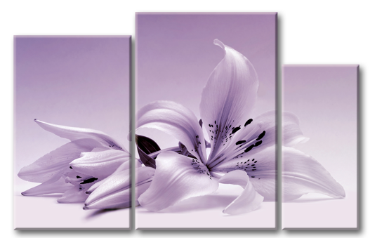 Модульная картина Сиреневые лилии