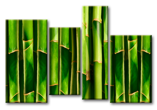 Модульная картина Стройный бамбук