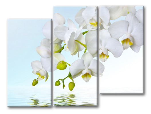Модульная картина Орхидея у воды на голубом фоне
