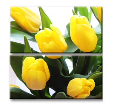Модульная картина Желтые тюльпаны