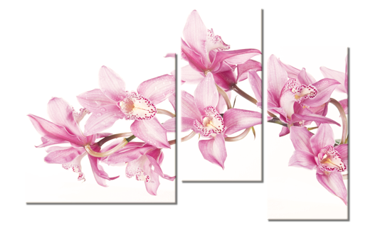 Модульная картина Сиреневая орхидея