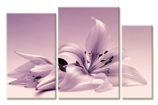 Модульная картина Лиловые лилии