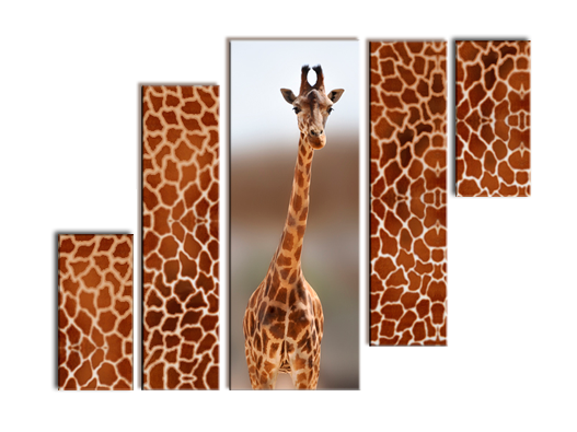 Модульная картина Африканский жираф