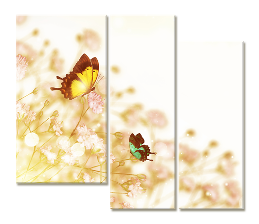 Модульная картина Две бабочки