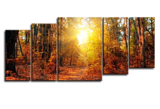 Модульная картина Солнечный лес