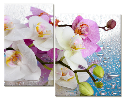 Модульная картина Кристальные орхидеи