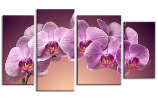 Модульная картина Сиреневые орхидеи