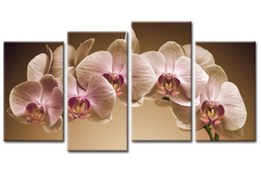 Модульная картина Кофейная орхидея