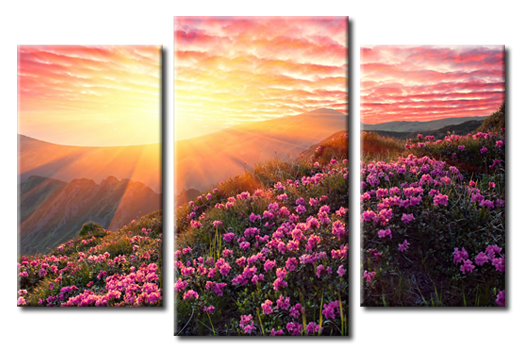 Модульная картина Цветочные горы