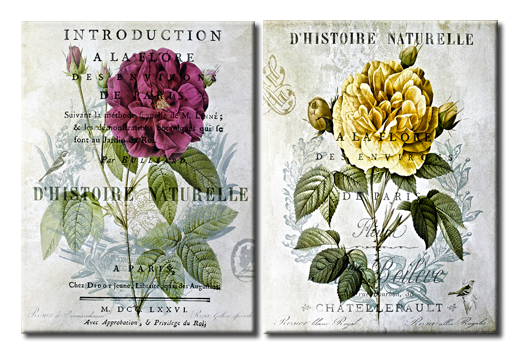 Диптих Ботанический диптих