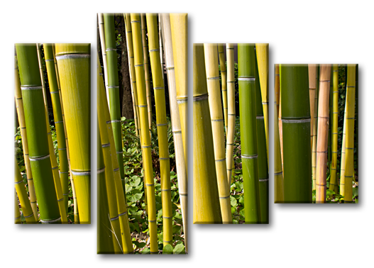Модульная картина Бамбуковые стебли