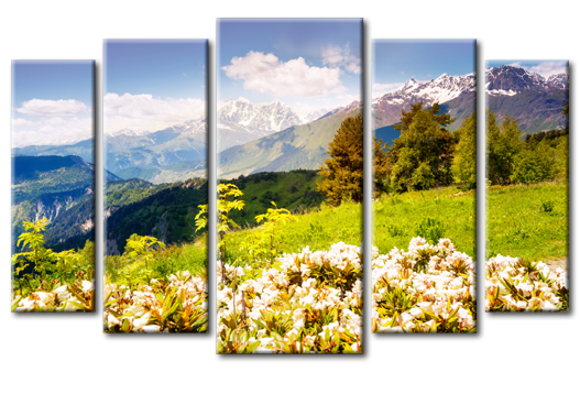 Модульная картина Альпийские луга