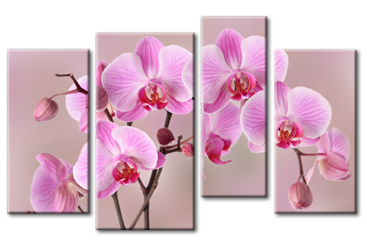 Модульная картина Невесомая орхидея