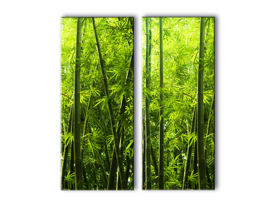 Модульная картина Бамбуковый лес