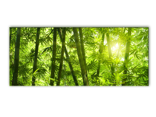 Постер на холсте Бамбуковый лес