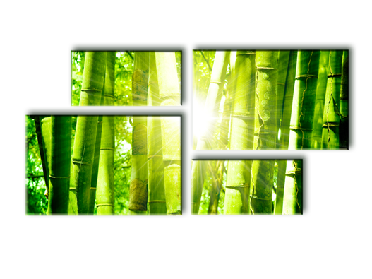 Модульная картина Солнечный бамбук