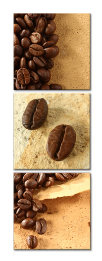 Модульная картина Зерна кофе