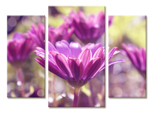 Модульная картина Лиловые цветы