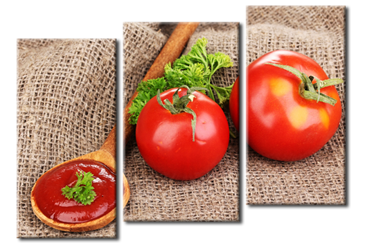 Модульная картина Задорные томаты