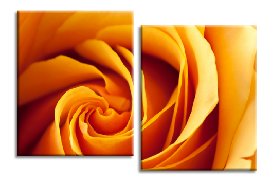 Модульная картина Желтая роза