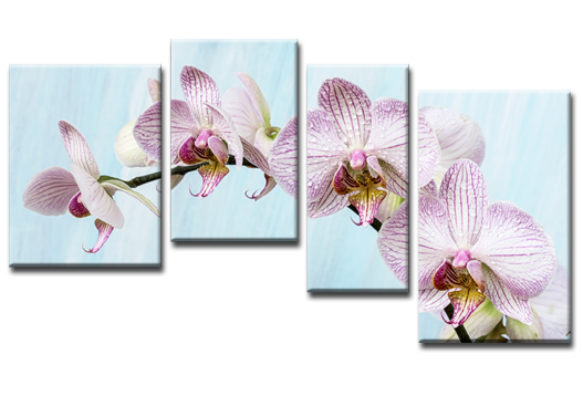 Модульная картина Воздушная орхидея