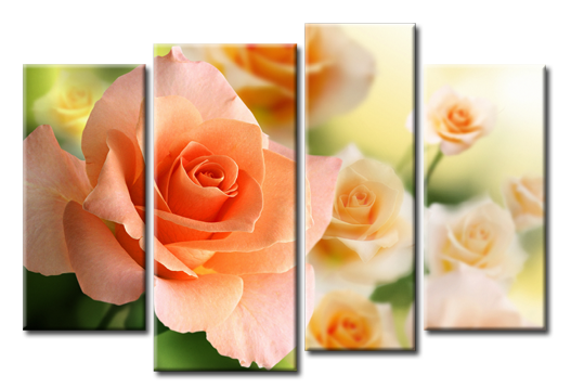 Модульная картина Персиковая роза