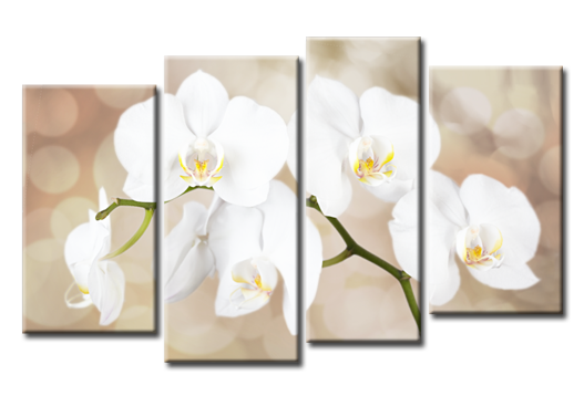 Модульная картина Грация орхидеи