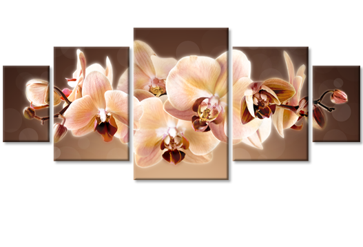 Модульная картина Коричная орхидея